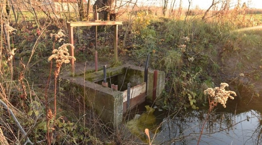 żuławki podtopienia02