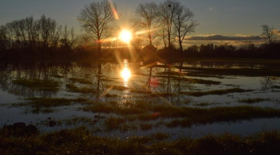 żuławki podtopienia07