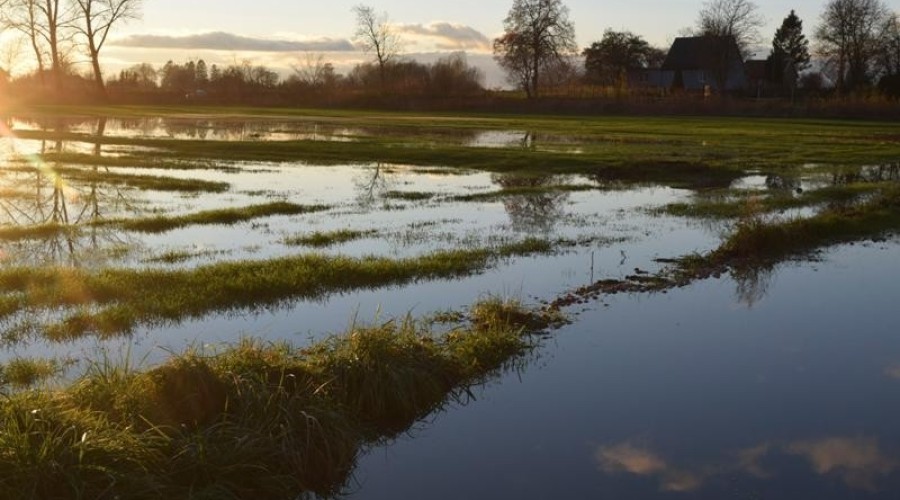 żuławki podtopienia08