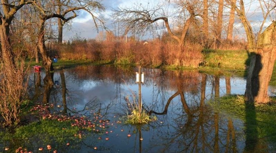 żuławki podtopienia11