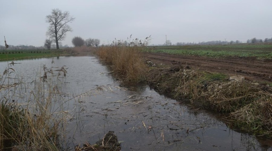 wrota sztormowe 14.12 (37)