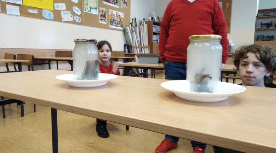 Tujsk. II etap programu edukacyjnego „Być, jak Ignacy”11