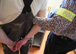 Nowy Dwor Gdański. Nerwowe zachowanie pasażera zwróciło uwagę policjantów.