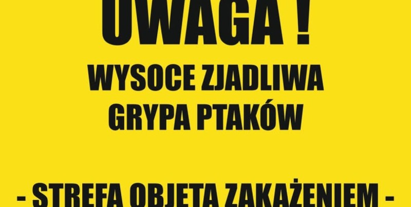 Grypa ptaków w Gminie Stegna. Władze apelują o ostrożność do mieszkańców i turystów
