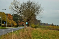 Ruszy budowa ścieżki rowerowej ze Stegny w kierunku Sztutowa wzdłuż drogi wojewódzkiej 501.