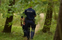 Nowy Dwór Gdański. Grzybiarze się gubią. Policja ostrzega i apeluje o rozsądek na grzybach