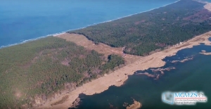 Złoża bursztynu w miejscu przekopu. Zlecono szczegółowe badania.