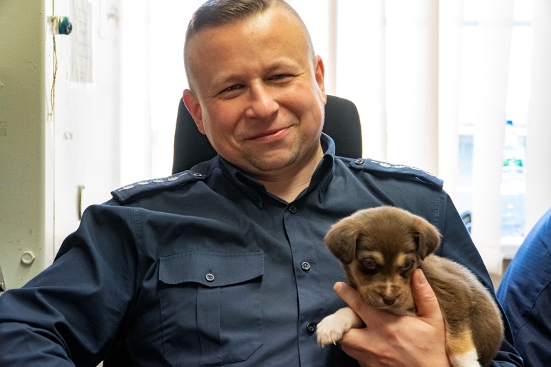 Nowodworski policjant adoptował porzuconego szczeniaka