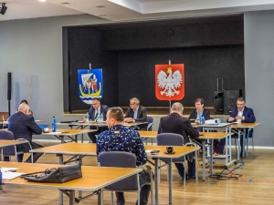 Posiedzenie sesji nadzwyczajnej Rady Gminy Stegna w trybie zdalnym.