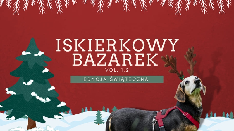 Wesprzyj psiaki z Nowodworskiego Stowarzyszenia Pomocy Zwierzętom &quot;Iskierka&quot; Weź udział w Iskierkowym Bazarku, który rusza 1 grudnia!