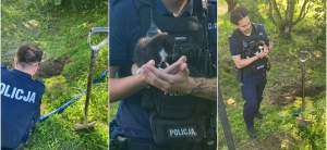 Kobieta zakopała żywcem dwumiesięcznego kotka. Policjanci pracujący na miejscu zdarzenia znaleźli również jednego martwego kota