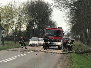Nowy Dwór Gd. Na Jantarowej strażacy usuwali drzewo z ulicy - 23.04.2017