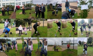 Zielona inicjatywa w Krynicy Morskiej – uczniowie sadzą drzewa z okazji Dnia Drzewa