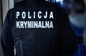 Zatrzymani po awanturze w Krynicy Morskiej: Policja prowadzi dochodzenie