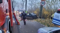 Grożne wypadki w regionie. Kierowcy po uderzeniu w drzewo trafili do szpitala.