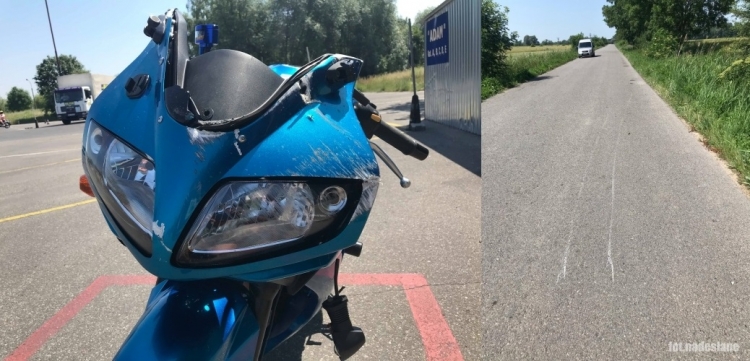 Dzik nie przeżył, motocyklistka leczy uraz nogi. Policjanci apelują o ostrożność na drogach 