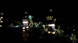 Nawałnica  przeszła przez Żuławy. Wiatr połamał drzewa - 11.08.2017