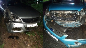 Mikoszewo. Uciekał przed sarną, uderzył w inny samochód.