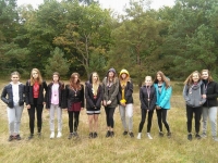 Stegna. Mistrzostwa Powiatu w Sztafetowych Biegach Przełajowych -10.10.2017