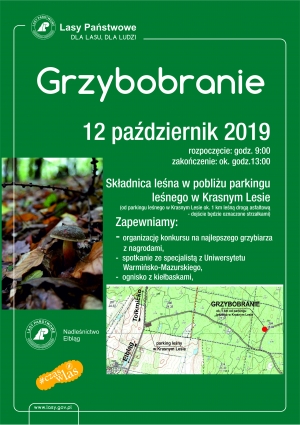 Zaproszenie na grzybobranie z leśnikami.