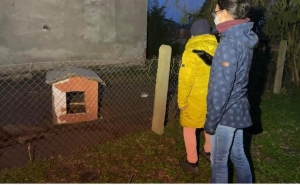 interwencja reks malbork