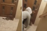 Zakatował kota metalową pałką. Drastyczne nagranie w sieci.