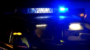 Elbląg: Policjanci szukają wandala (wideo)