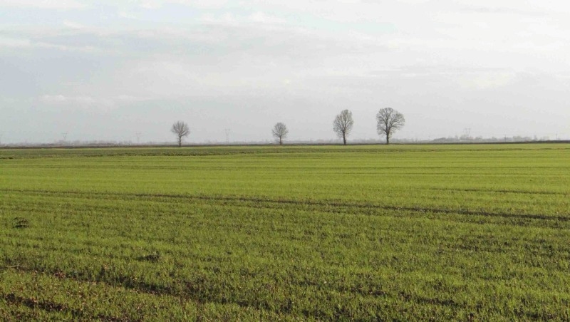 Horyzont Żuław – między rzeką, morzem a człowiekiem. Debata o przyszłości Żuław już 19 listopada 2025 r.