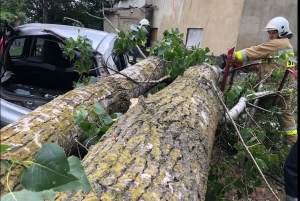 Żuławy i Mierzeja. Silny wiatr łamał drzewa. Uszkodzone budynki i  samochód.