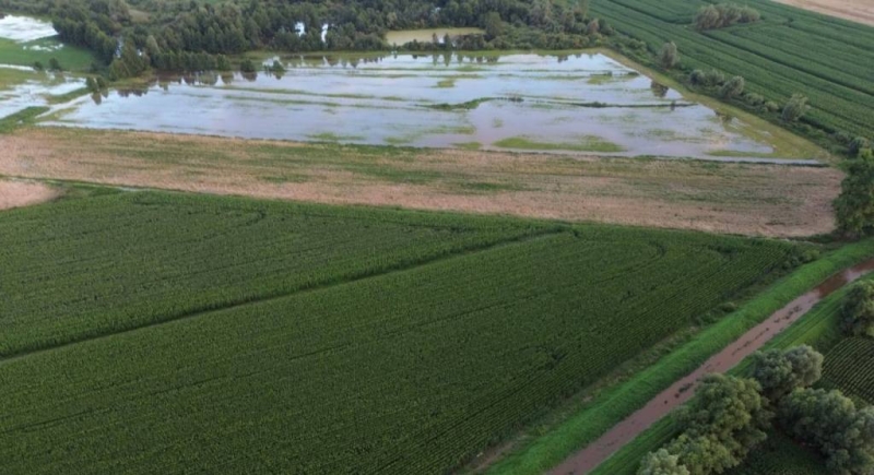 Żuławy biją na alarm. Bez inwestycji zagrożone są pola, gospodarstwa i bezpieczeństwo mieszkańców