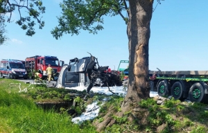 Jedna osoba nie żyje po tym, jak ciężarówka uderzyła w drzewo na DK 55, odcinek Malbork - Nowy Dwór Gdański.