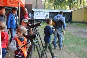 Ptasi Piknik. Naliczyli wspólnie ponad 122 tys. ptaków z 99 gatunków - 30.09.2017