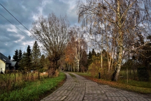 Przebudowa ul. Zielonej w Drewnicy.